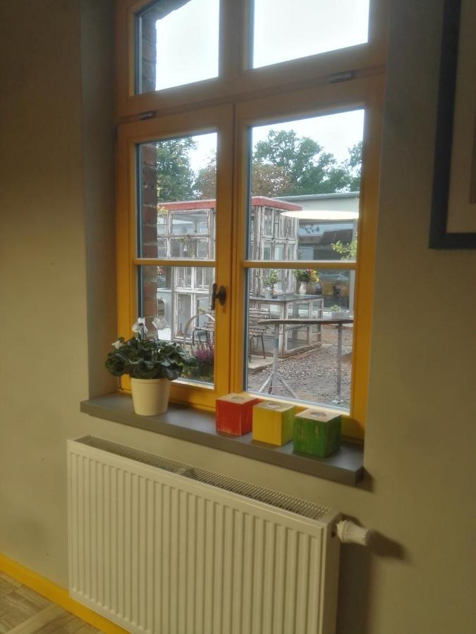 Appartement Ampelhaus à Oranienbaum-Woerlitz Extérieur photo